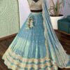 Sky blue color Designer Sequence Embroidery work Lehenga choli